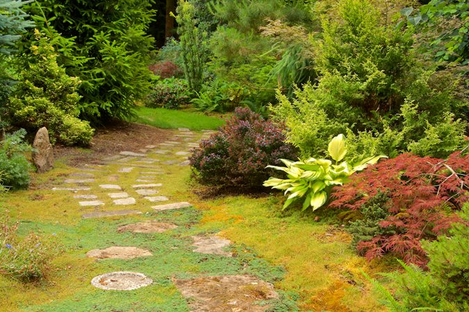 Rough stones and fine moss offering textural contrast along a serene garden pathway