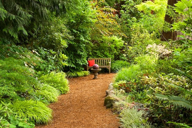 Lush layered garden with secluded bench