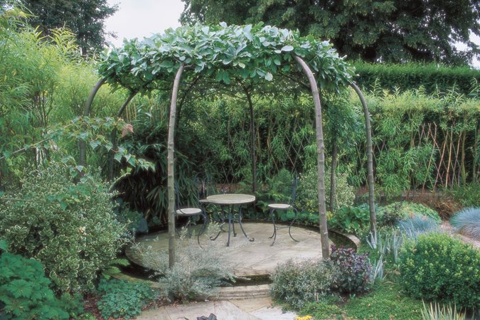 Tree Planting Ideas & Design Tips | Garden Design