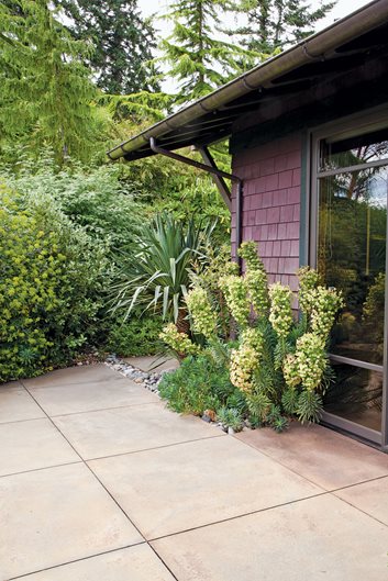 The Plant Hunter's Retreat, Photo Gallery
Garden Design
Calimesa, CA