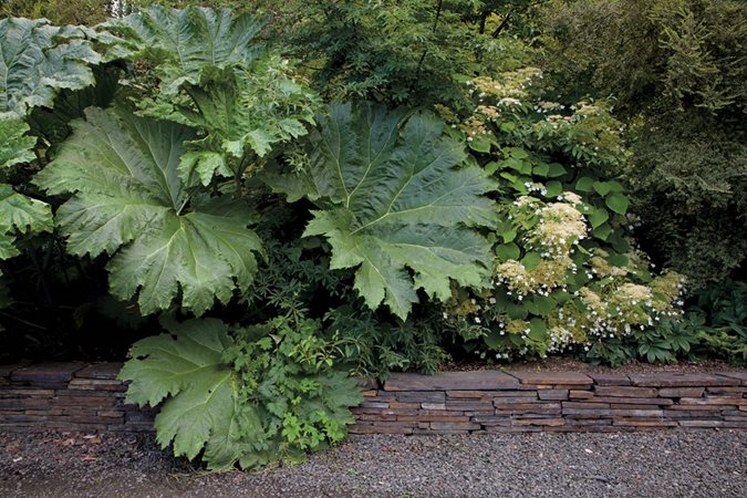 The Plant Hunter's Retreat, Photo Gallery
Garden Design
Calimesa, CA