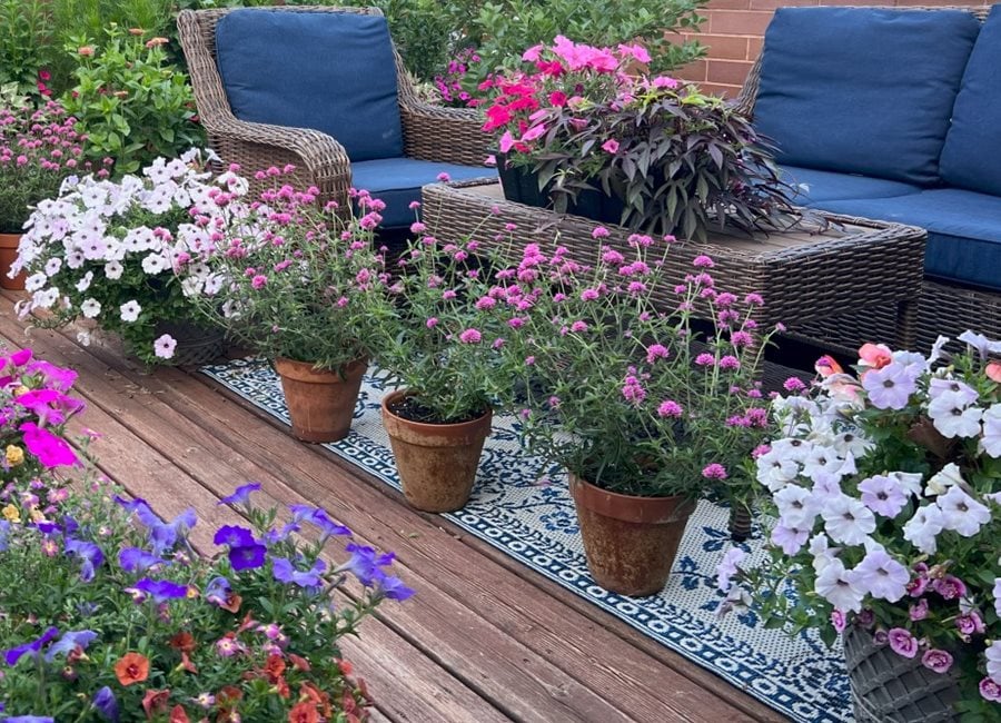 Large Flower Pots On Rooftop Deck
"Dream Team's" Portland Garden
Garden Design
Calimesa, CA