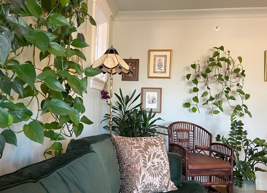 Hanging Houseplants
"Dream Team's" Portland Garden
Garden Design
Calimesa, CA