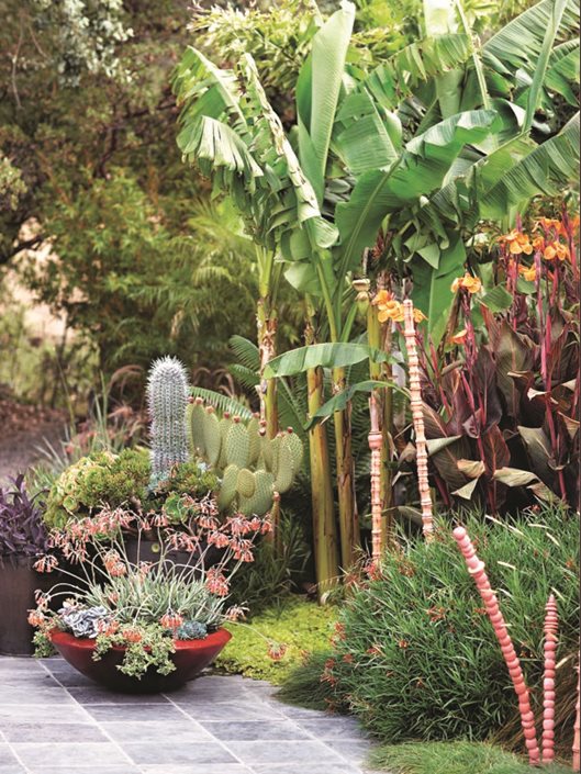 Davis Dalbok's Northern California Bungalow Garden 