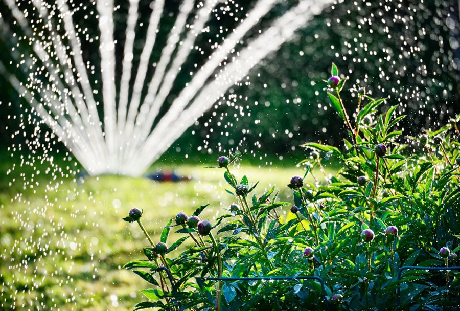 Irrigation 101 Watering Your Garden Garden Design