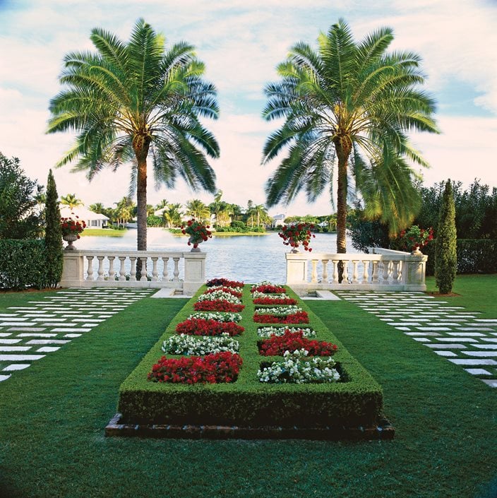 Top Uses Of Palm Trees In Garden Design Garden Design