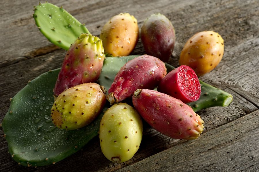 Prickly pear. Fichi d'India фрукт. Kaktusfeige фрукт. Voxlblade Prickly Pears.