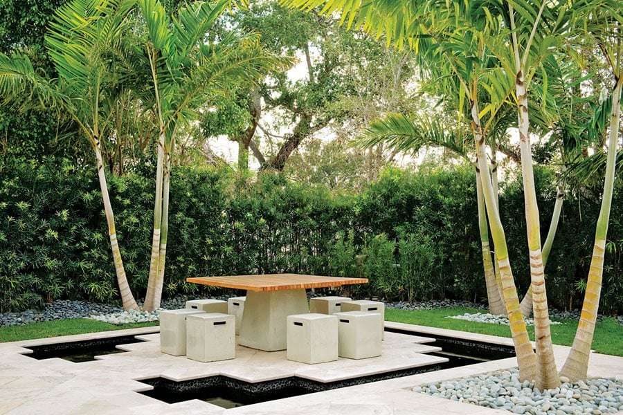 Top Uses Of Palm Trees In Garden Design Garden Design