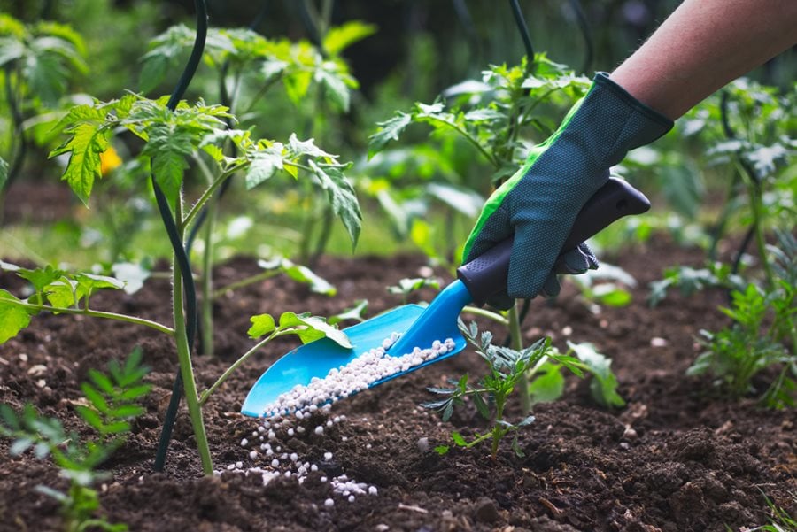 How to reuse old compost, Gardening advice