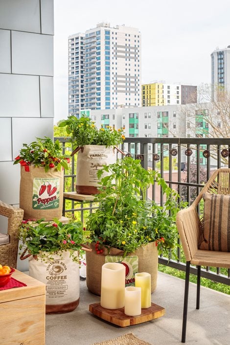 Vegetable Garden in Containers