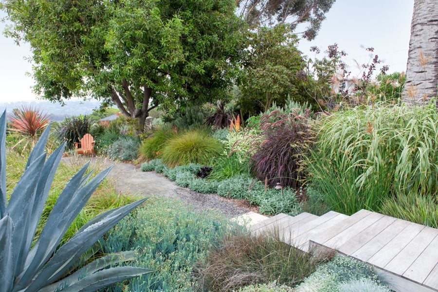 drought landscaping ideas