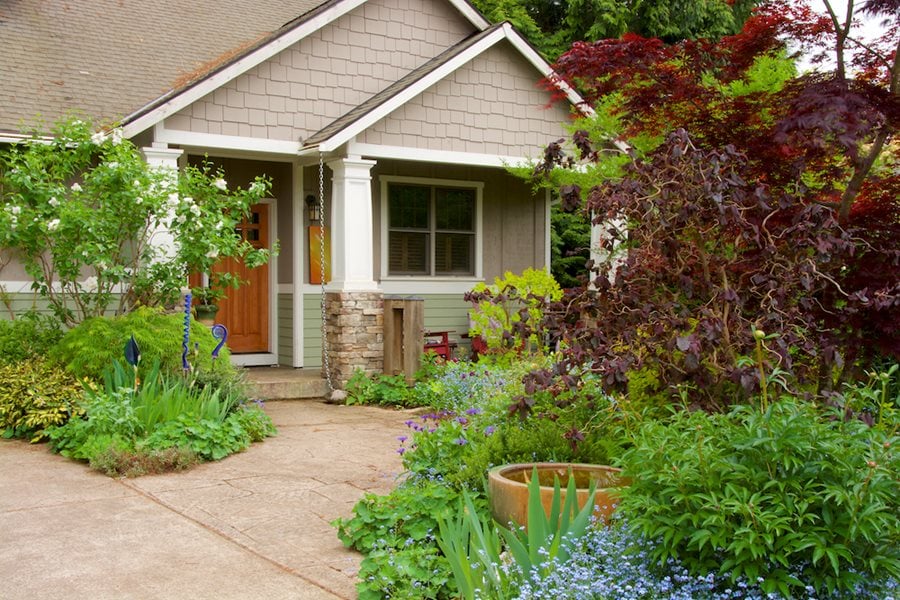 Eco Friendly Lawn Grass Alternatives, How To Landscape Yard Without Grass In Texas