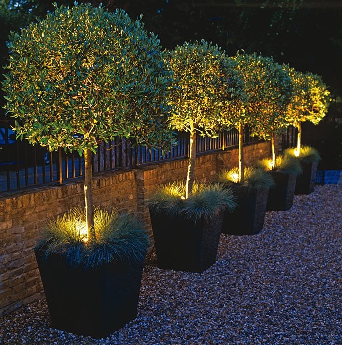 Garden cheap plant lights