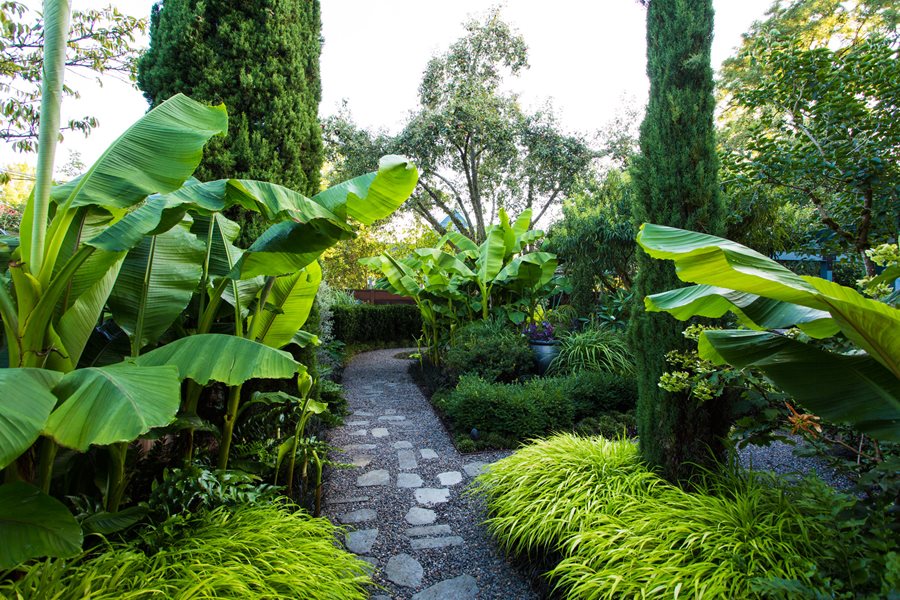 Small Garden Gets Tropical Makeover, Tropical Landscaping Ideas For Backyard