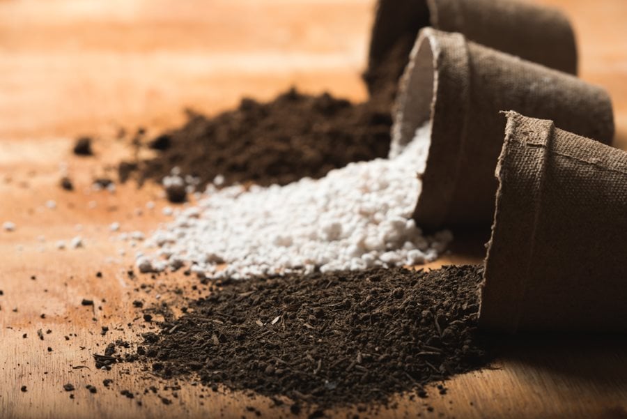 Potting Soil 101: How to Choose the Right Potting Mix for Your Plants |  Garden Design