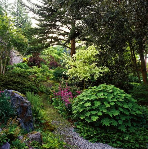 The Elisabeth C Miller Botanical Garden Seattle Garden Design