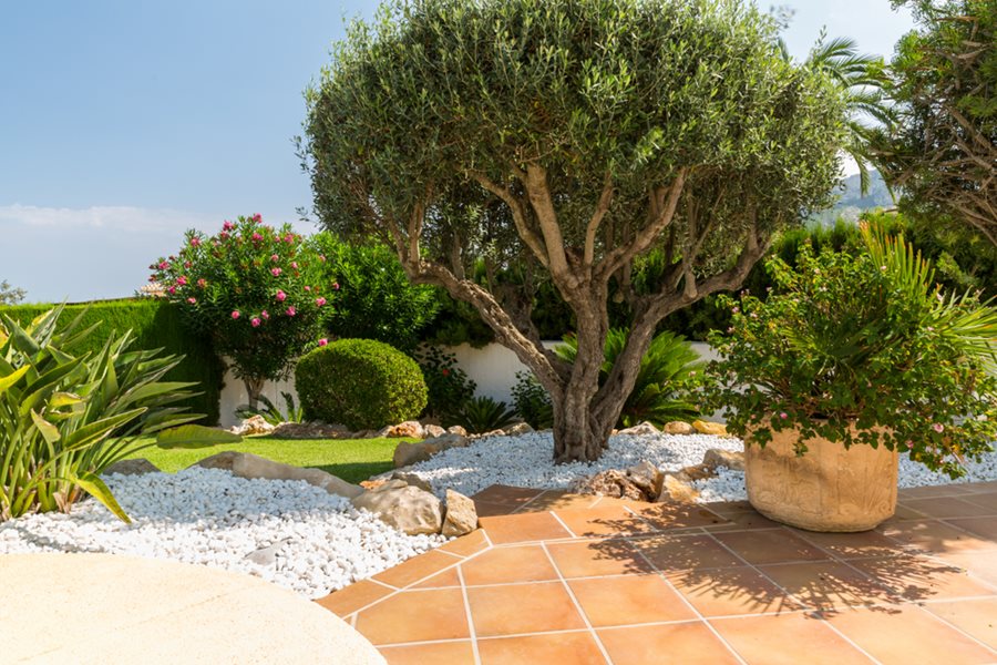 Mediterranean Garden Ideas And Inspiration Garden Design 48 OFF