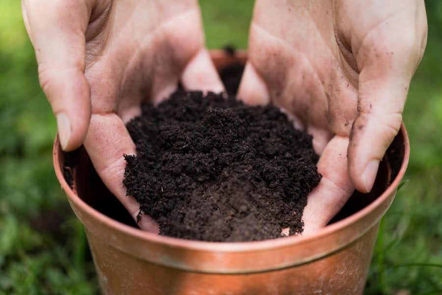 Do You Need to Add Soil to Potting Mix 