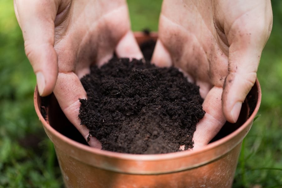 A Container And A Soil