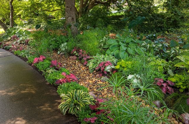 top page border garden