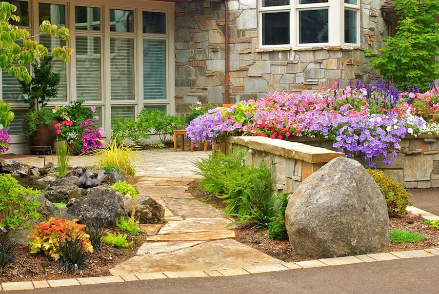 Large Rocks and Plants