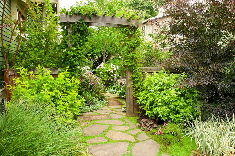 Side Yard Ideas Landscaping And Plants Garden Design