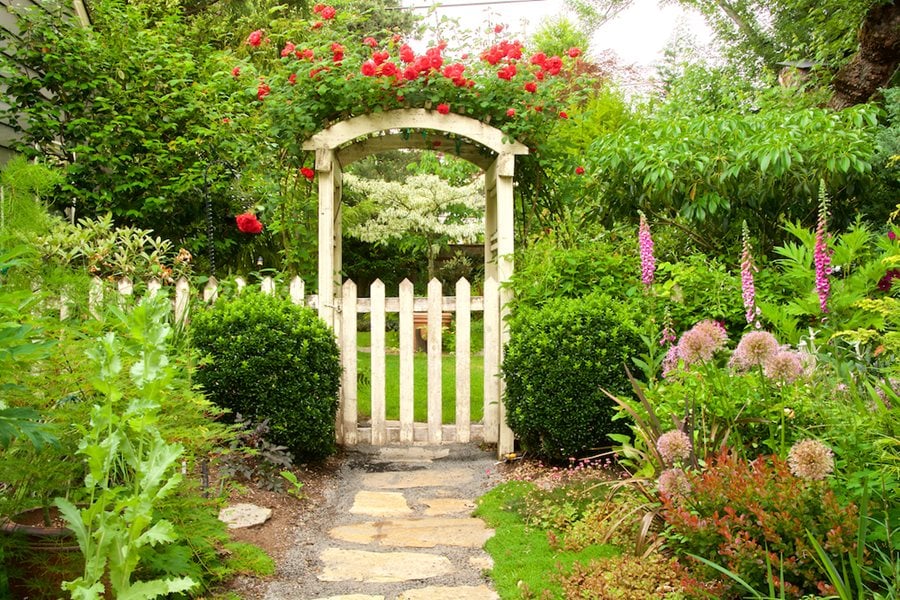 Side Yard Ideas, Landscaping, and Plants | Garden Design Side Yard Ideas, Landscaping, And Plants | Garden Design