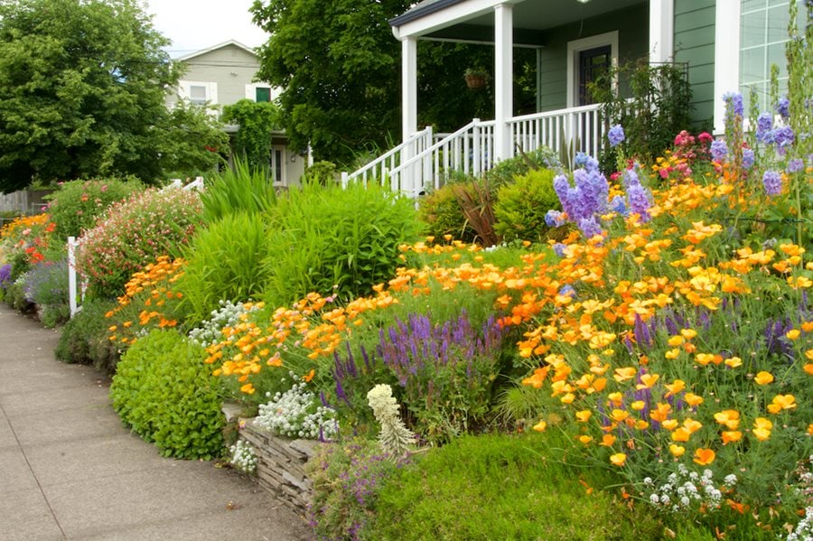 Hillside Landscaping How to Landscape on a Slope Garden Design