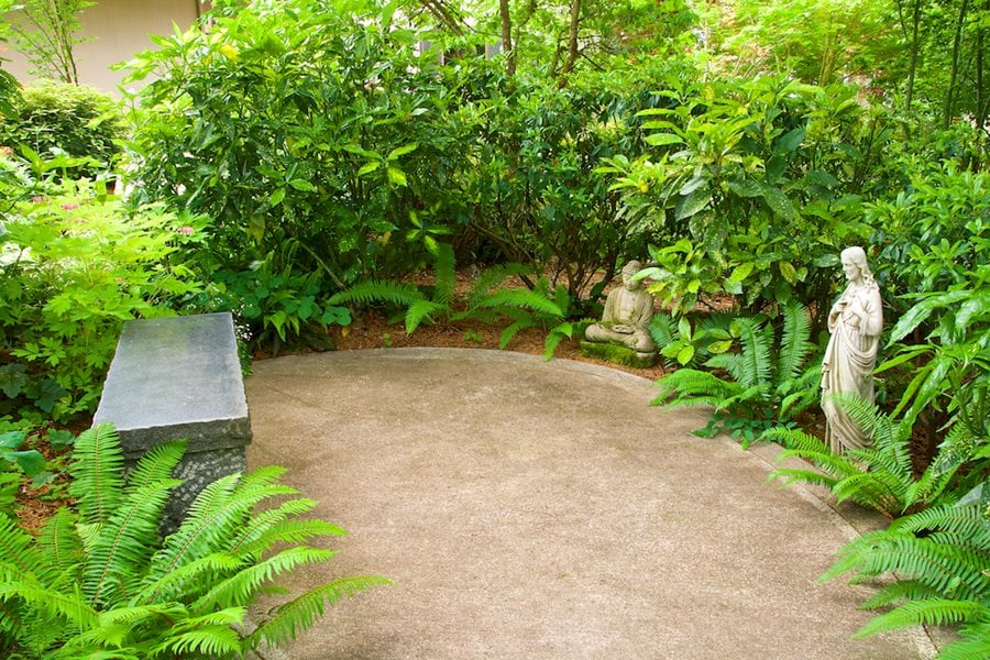 The Best Plants for a Zen Garden: Creating a Relaxing Outdoor Space –