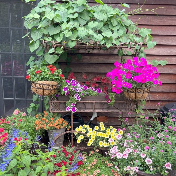 Flower Cart With Flower Pots
"Dream Team's" Portland Garden
Garden Design
Calimesa, CA