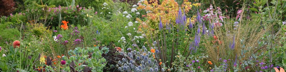 30+ Garden Ideas - Inspirational Gardening Ideas | Garden Design