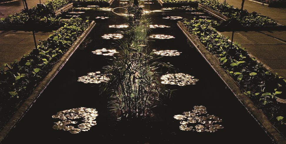 Italian Garden, Butchart Gardens
Linda Rutenberg