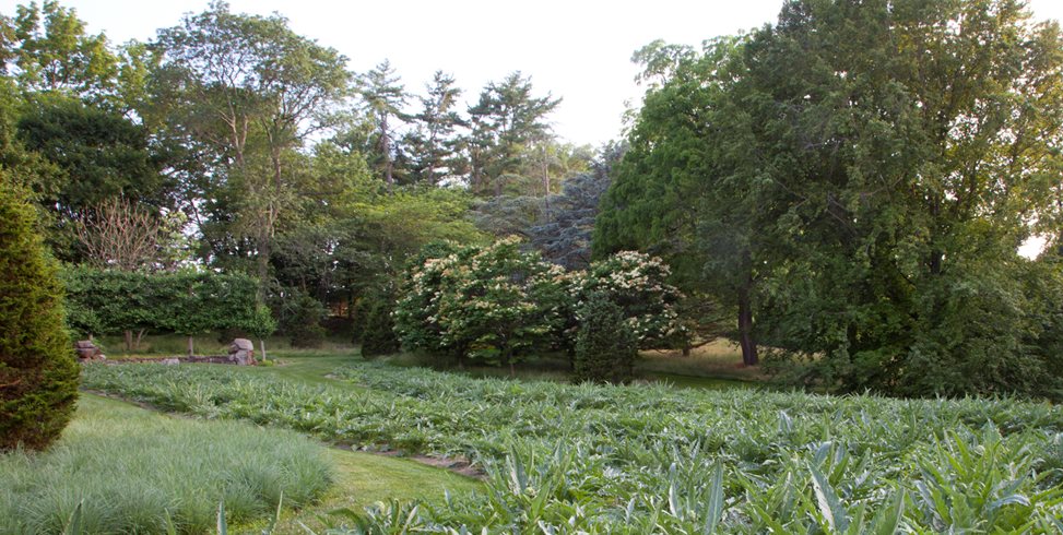 Serpentine Garden, Chanticleer
Garden Design
Calimesa, CA