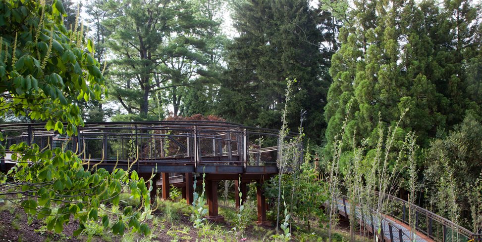 Chanticleer, Elevated Walkway
Garden Design
Calimesa, CA