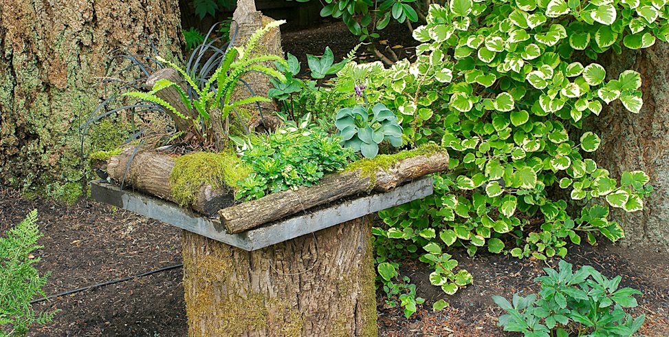 Woodland Container
Janet Loughrey