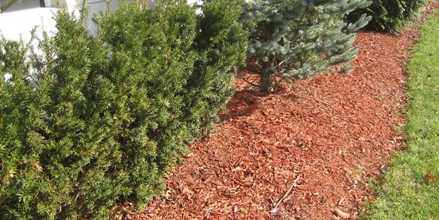 Garden Mulch How To Garden Design