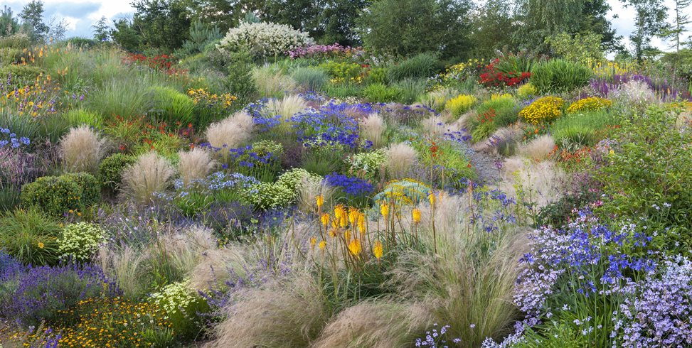 Hillside Garden, Summer Garden
Garden Design
Calimesa, CA