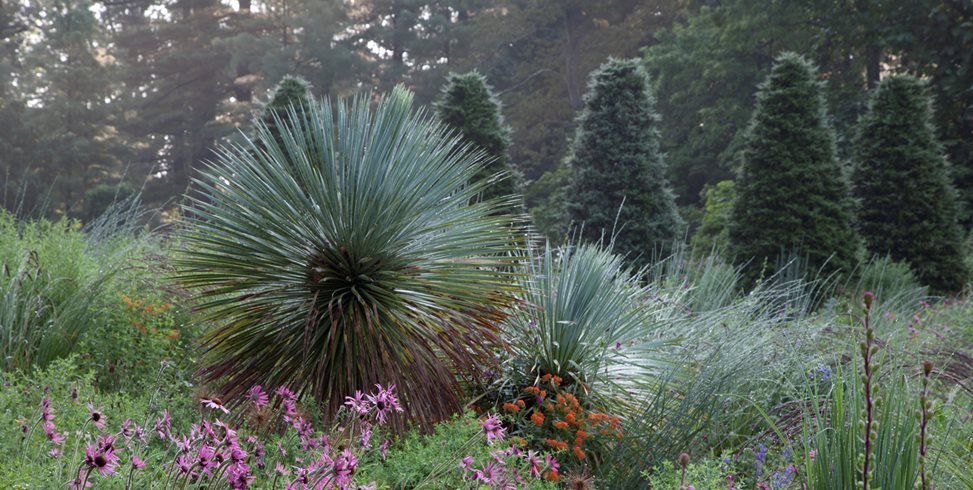 Chanticleer, Gravel Garden
Garden Design
Calimesa, CA
