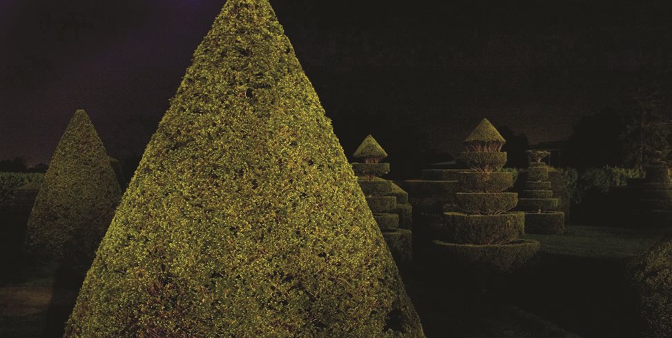 Topiary, Longwood Gardens
Linda Rutenberg