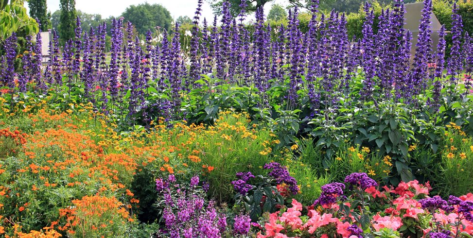 How To Start A Flower Garden 3 Steps For Beginners Garden Design