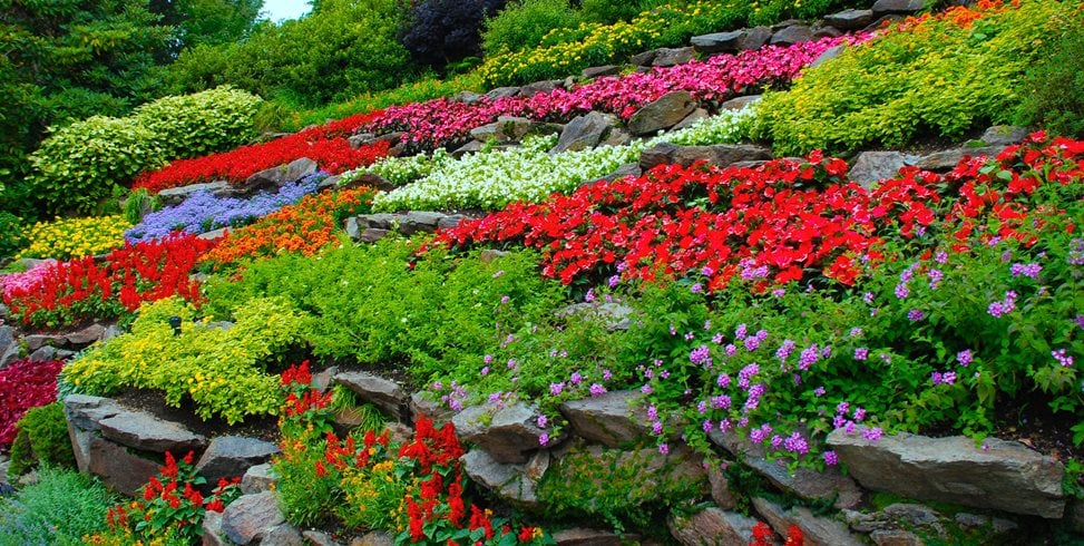 How To Start A Flower Garden 3 Steps For Beginners Garden Design