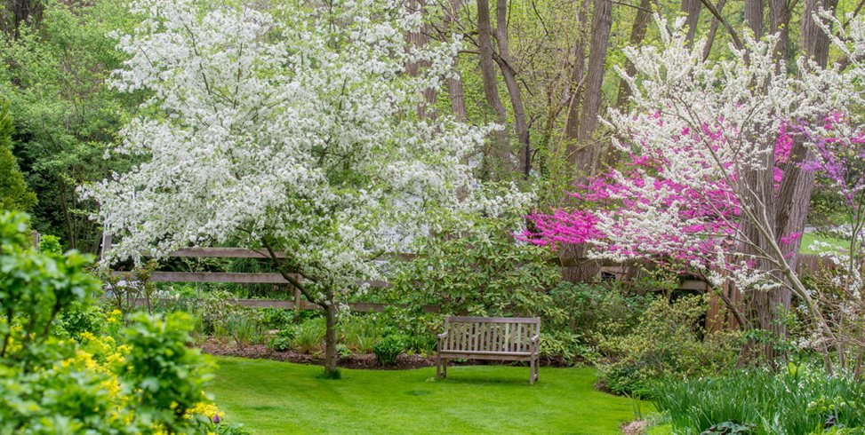 What's in the magazine? | Garden Design What's in the magazine? | Garden Design on Garden Design Journal
id=42047