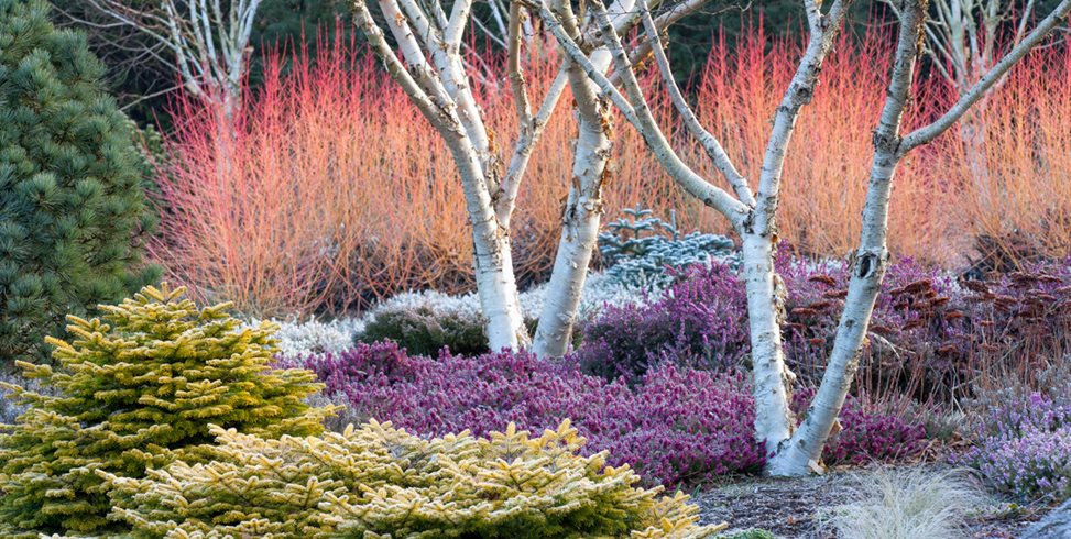 What's in the magazine? | Garden Design What's in the magazine? | Garden Design on Garden Design Journal
id=64075