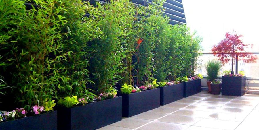 Roof Terrace, Bamboo Planters
Amber Freda Home & Garden Design
New York, NY
