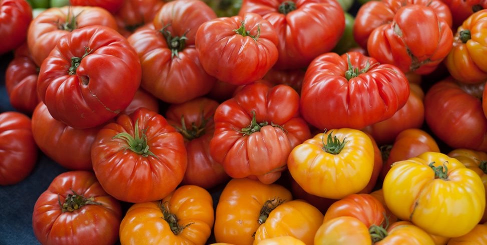 Colorful Tomatoes, Heirloom Tomatoes
Garden Design
Calimesa, CA