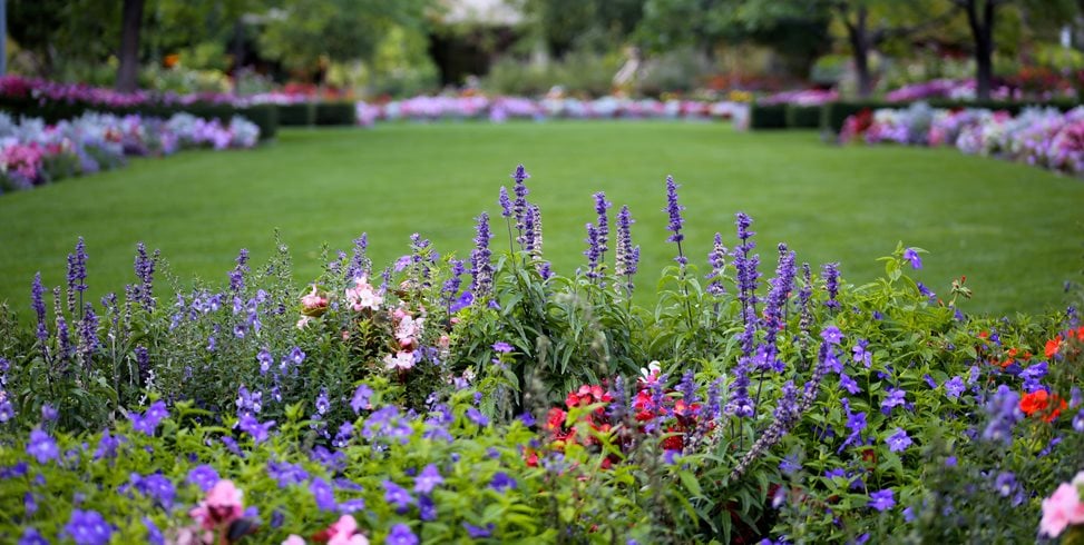 top page border garden