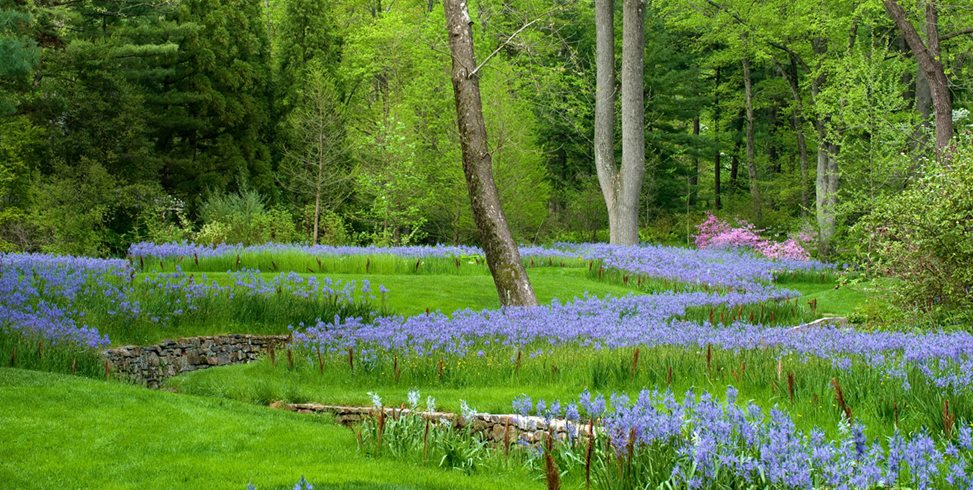 What's in the magazine? | Garden Design What's in the magazine? | Garden Design on Garden Design Journal
id=23194