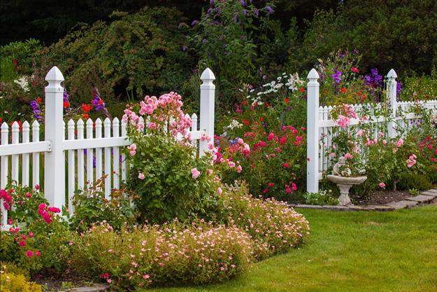 Summer Garden